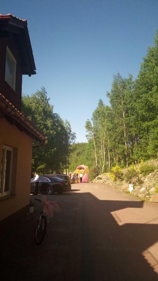 Resort Holiday Natural - Gosciniec Zacisze Хмєльно Екстер'єр фото